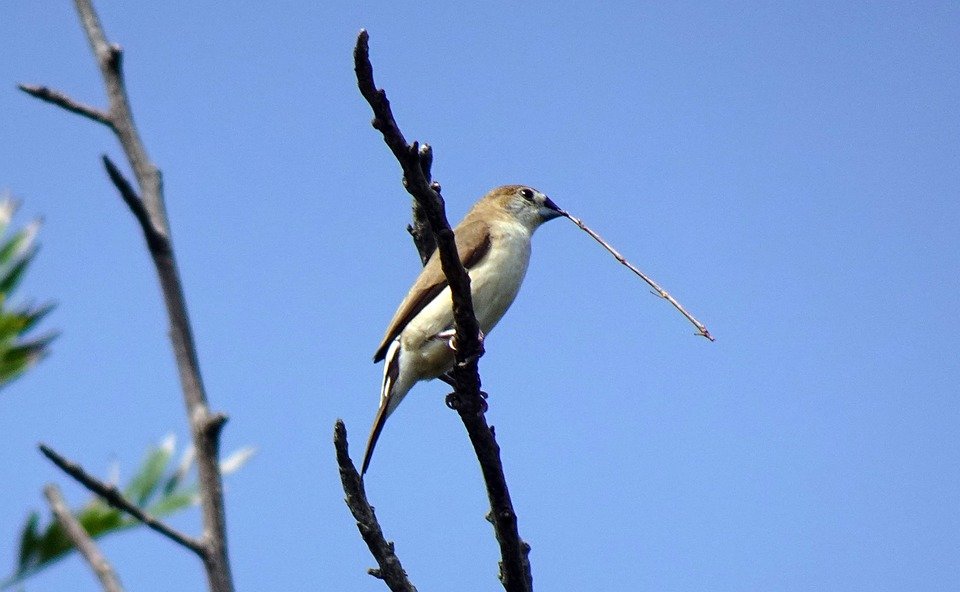 Robactwo to dokuczliwa sprawa