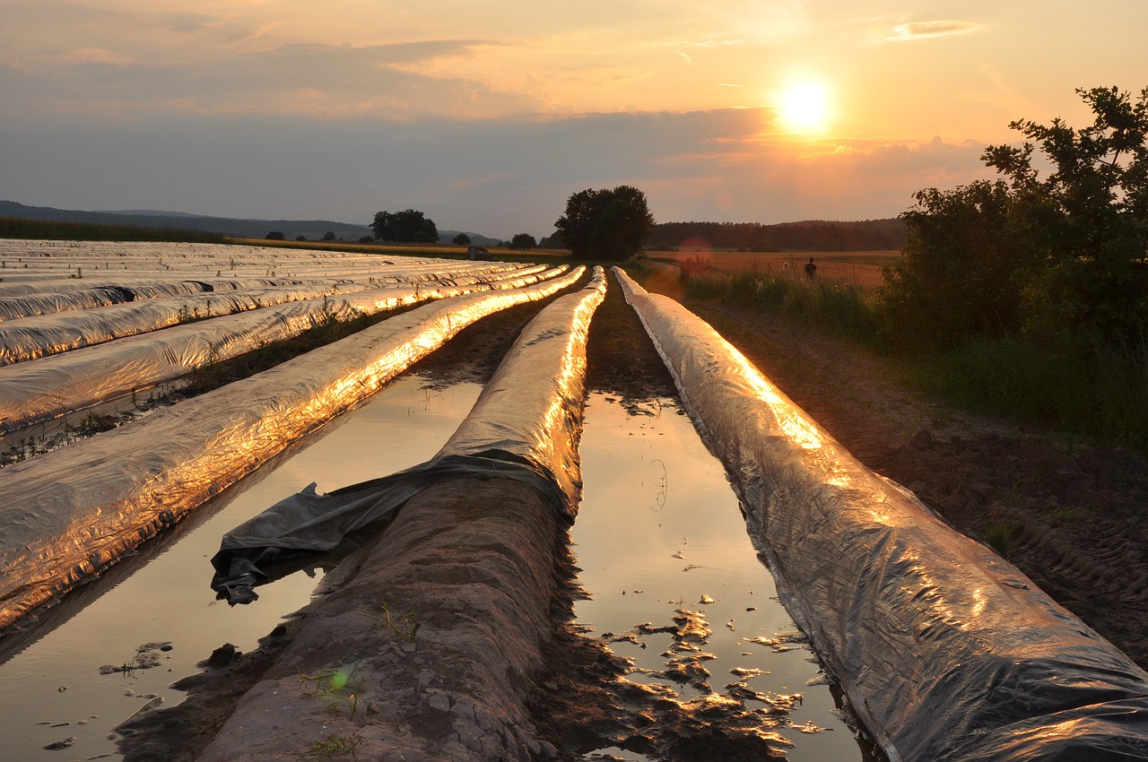 Nowe Trendy w Branży Opakowań: Innowacyjne Dostosowania